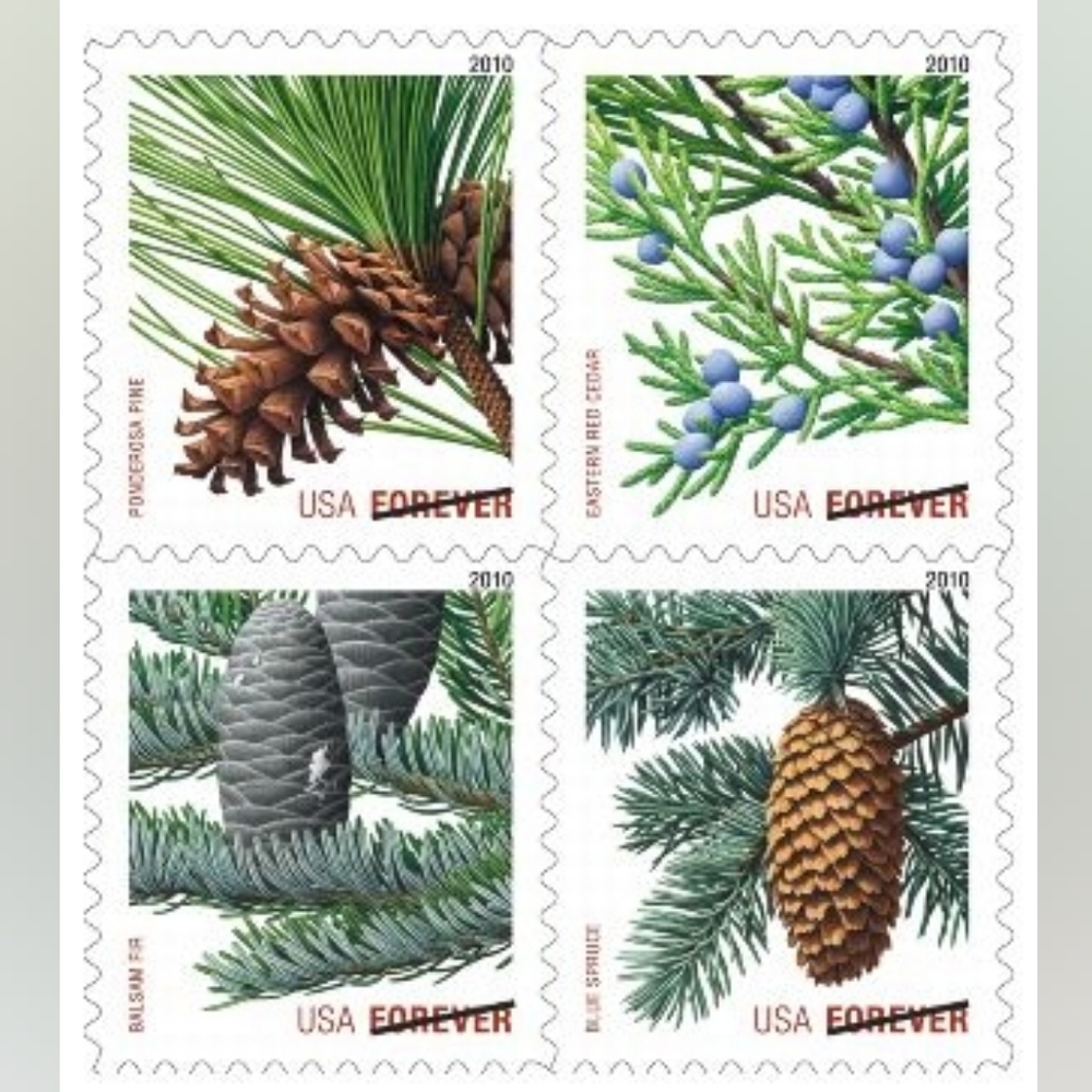100 Holiday Evergreen 2010 USPS Forever Postage Stamps Postal ‎ Wedding Invites